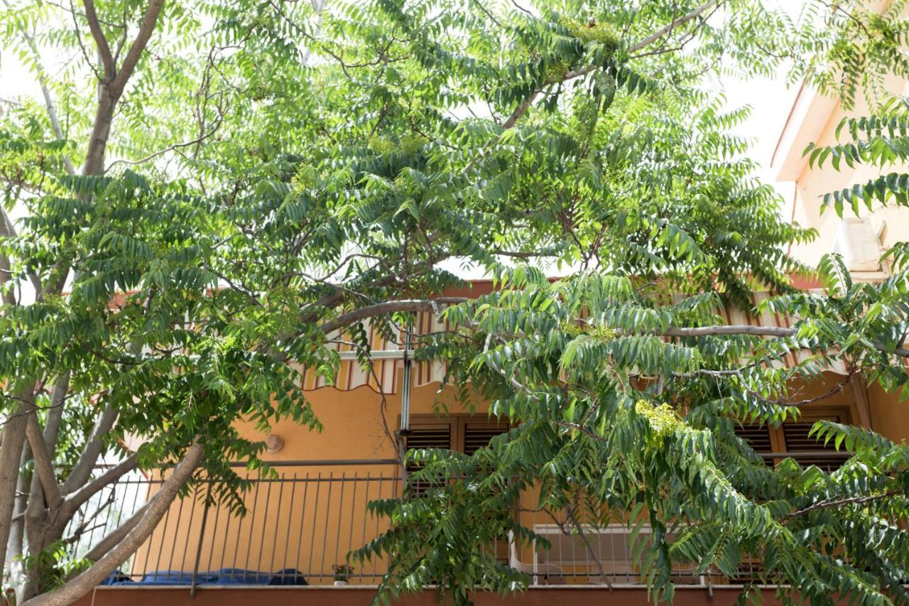 Ferienwohnung Casa Di Clara Acireale Exterior foto